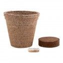 Maceta Biodegradable Ceres